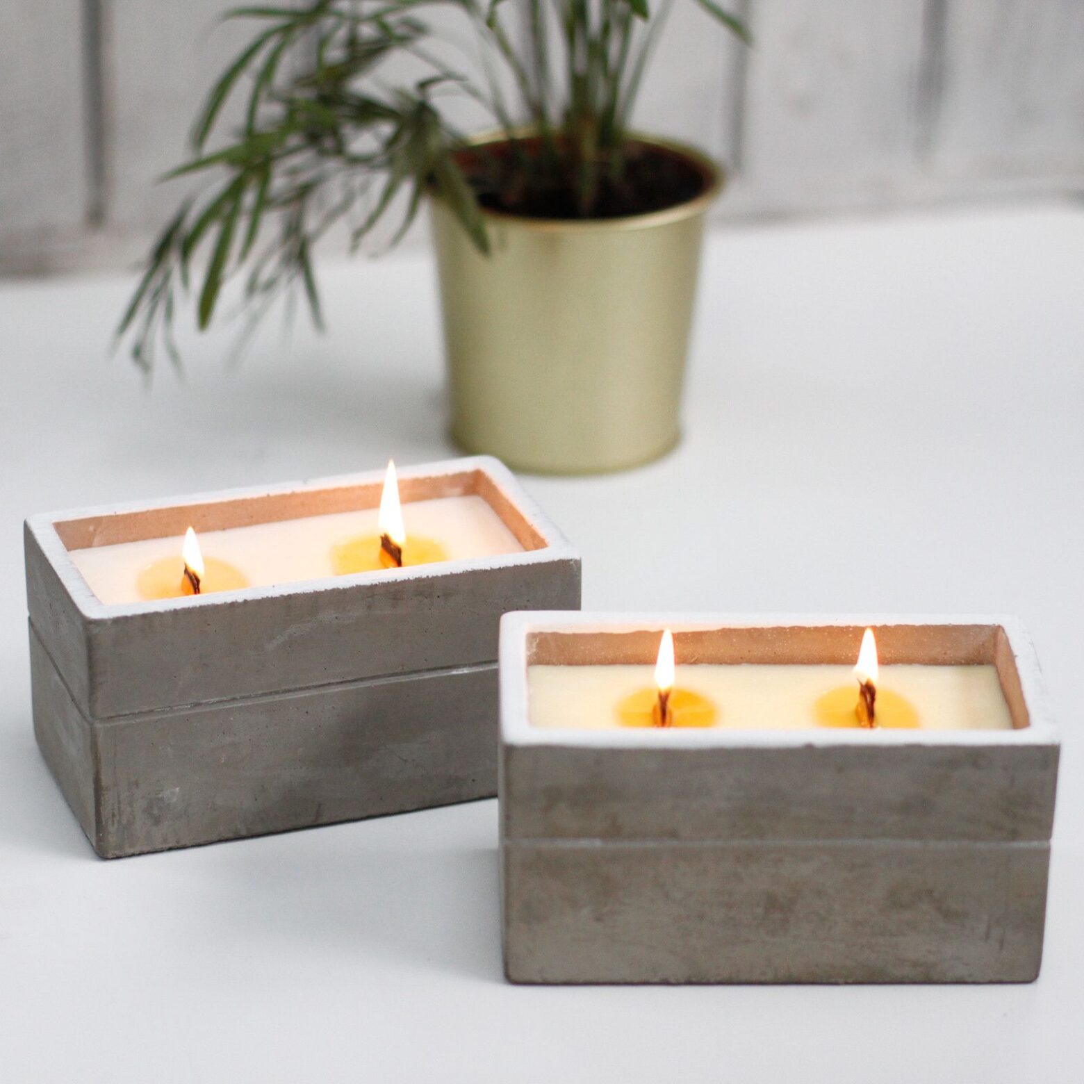 Large Concrete Soy Candle - Clove & Dark Sandal - Image 5