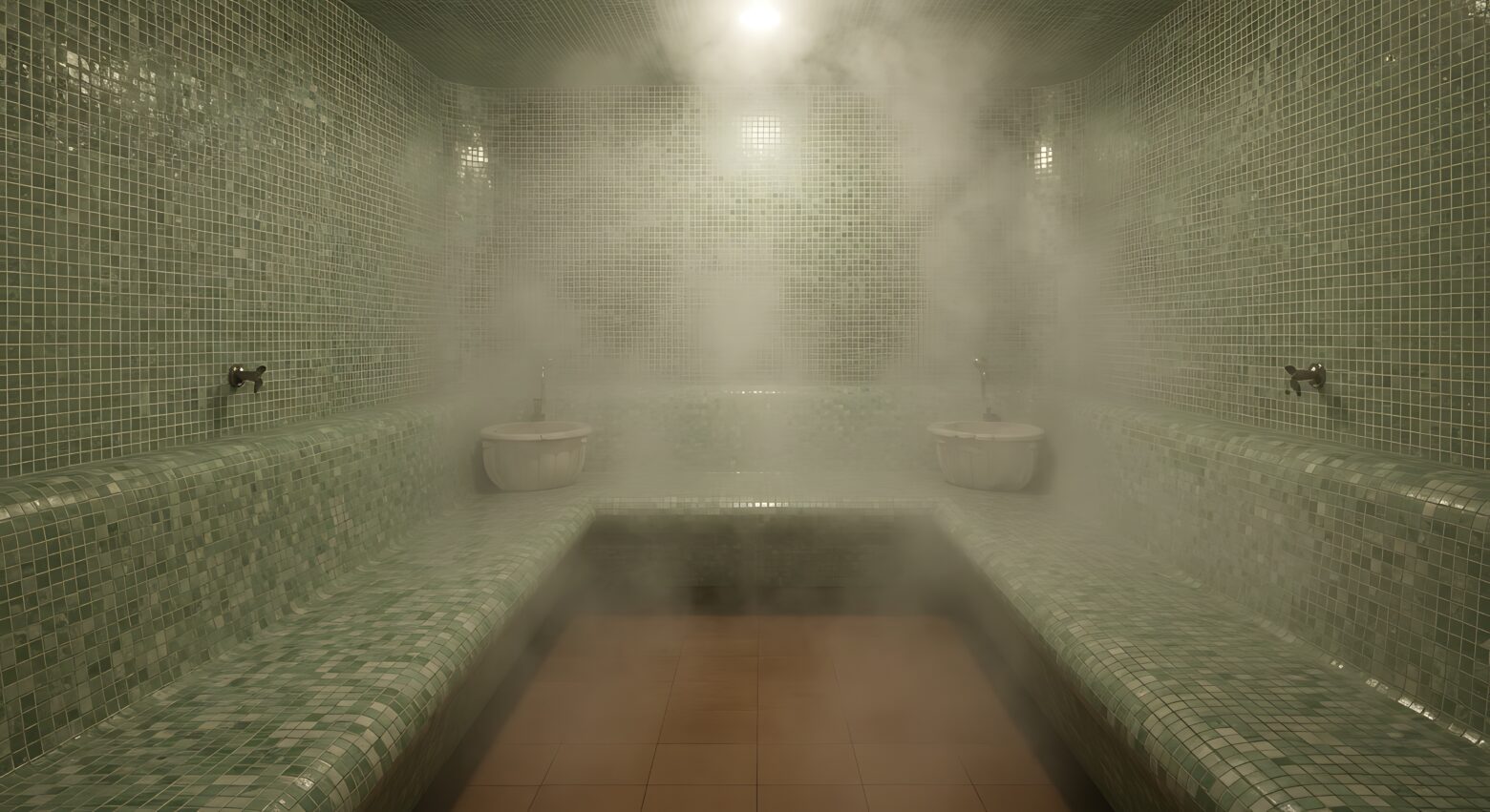 Steam room